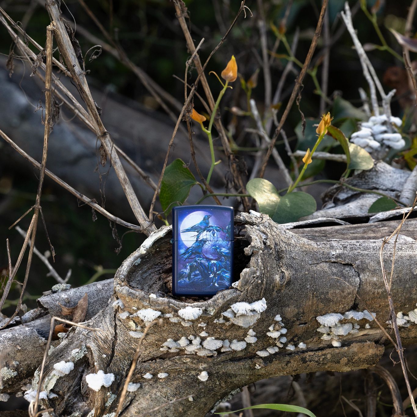 Lifestyle image of Zippo Carol Cavalaris Raven dreams Design Navy Matte Windproof Lighter standing in a hollow log with flowers and branches in the background.