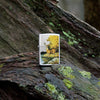 Lifestyle image of Zippo Linda Picken Season of Beauty Street Chrome Windproof Lighter standing on a mossy log.