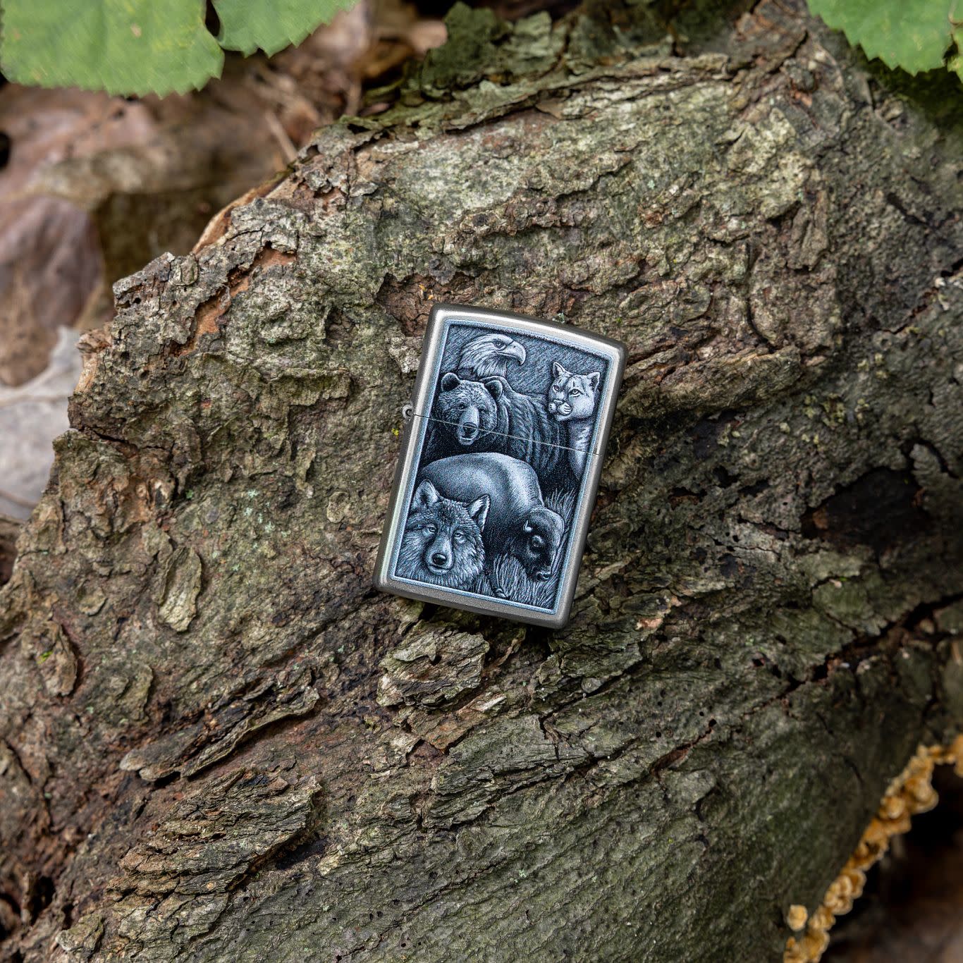 Lifestyle image of Zippo Animal Kingdom Design Satin Chrome Windproof Lighter laying on a fallen tree limb.
