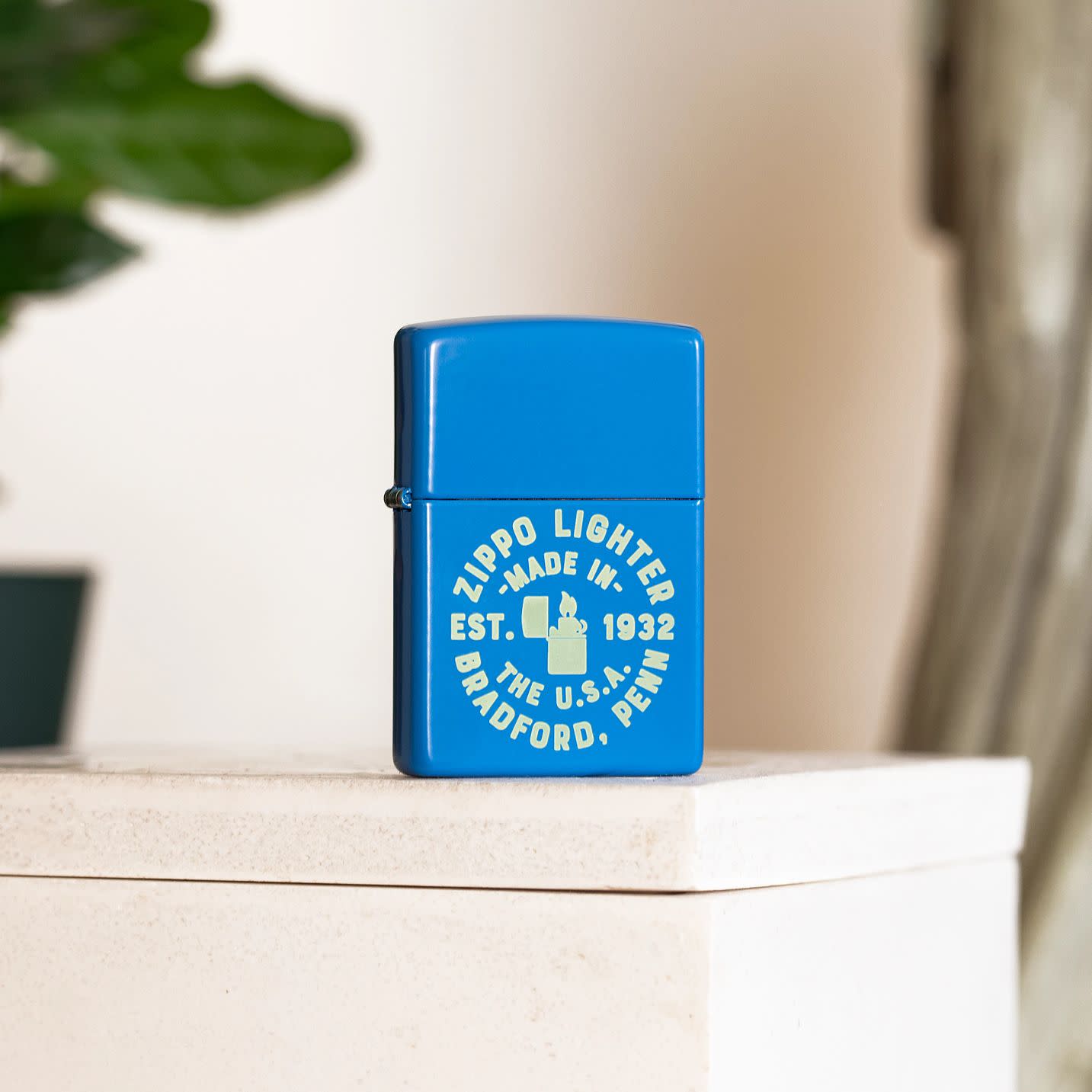 Lifestyle image of Zippo Seal Design Sky Blue Matte Windproof Lighter standing in front of a plant.