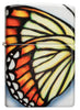 Front shot of Zippo Butterfly Design 540 Color Windproof Lighter.