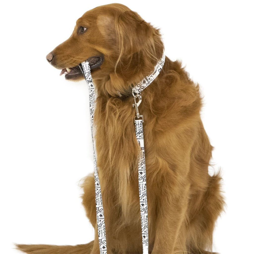 White Nylon Pet Collar Golden Retriever - leash in mouth