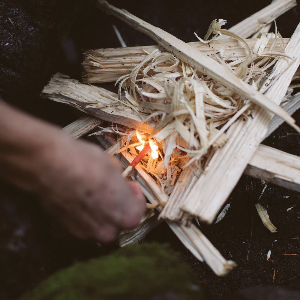Lifestyle image of Typhoon Matches starting a fire with tinder and wood
